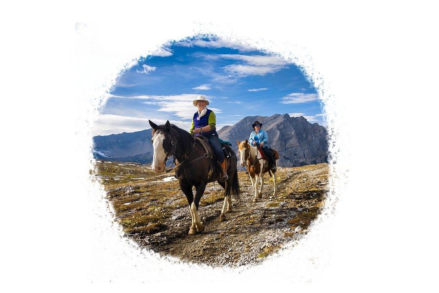 peru-treks-horses