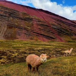 Ausangate-and-Rainbow-Mountain-trek-6-Days