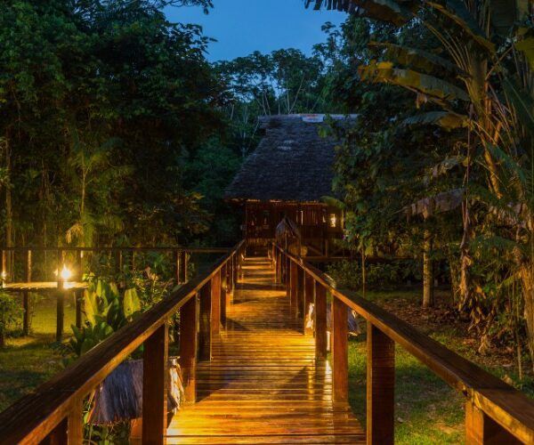 the tambopata lodges